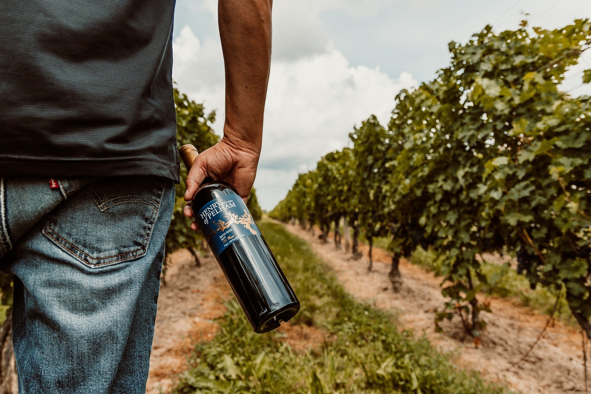Henry of Pelham Family Estate Winery