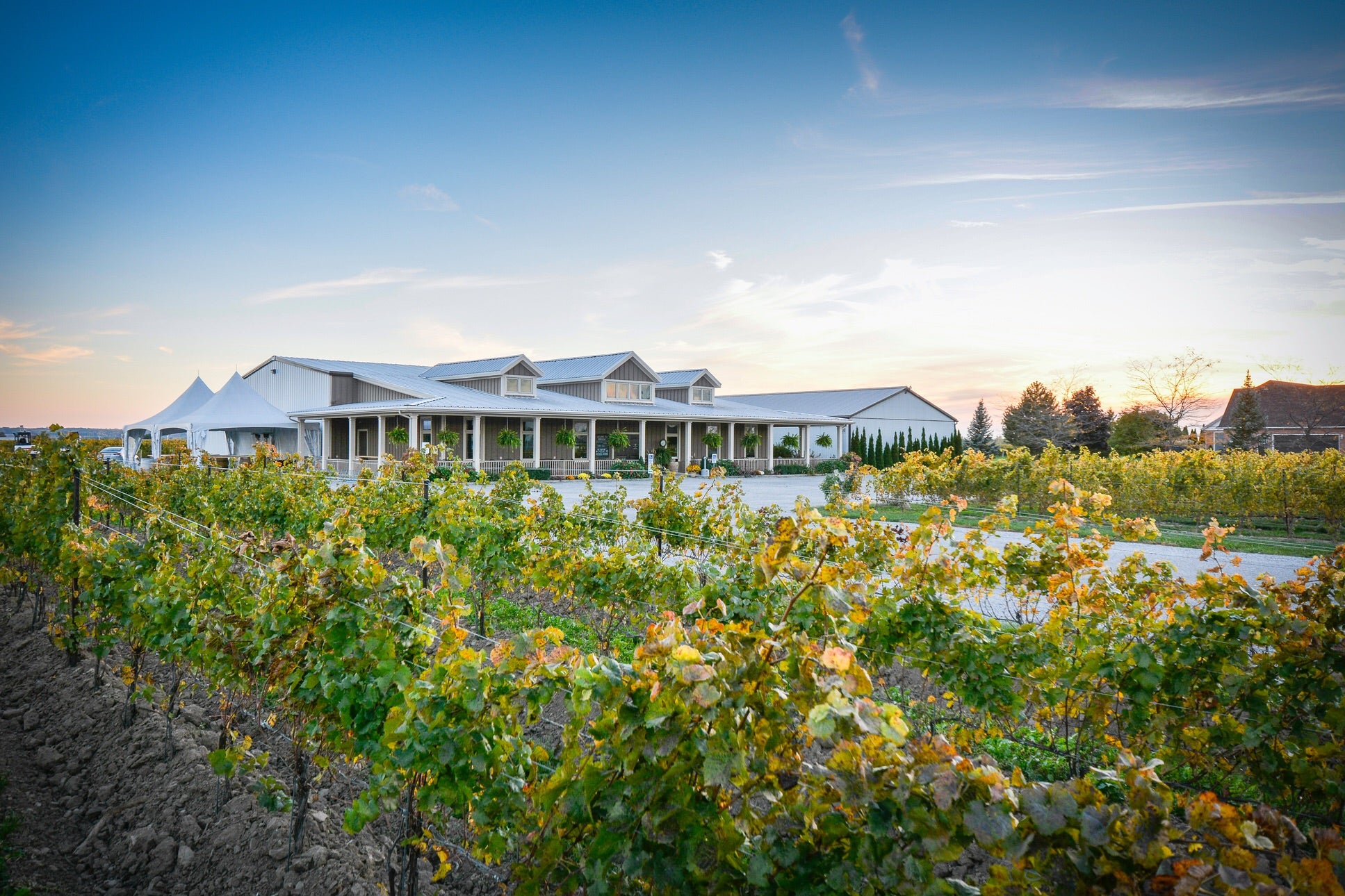 Pondview Estate Winery