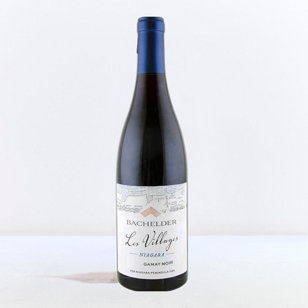 2022 Gamay Noir Les Villages Bachelder