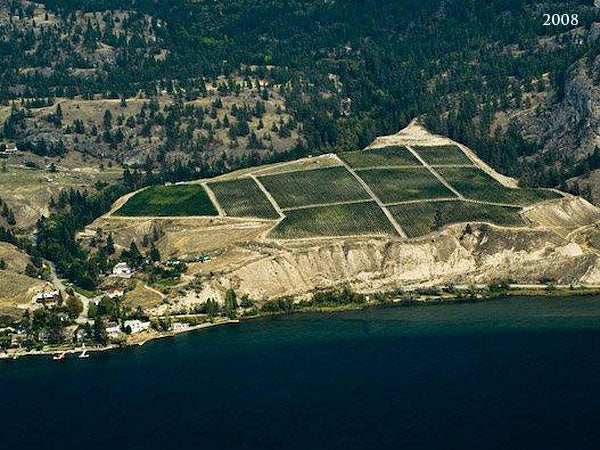 2021 Painted Rock Estate Grown Cabernet Franc