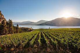 2021 Painted Rock Estate Grown Cabernet Franc