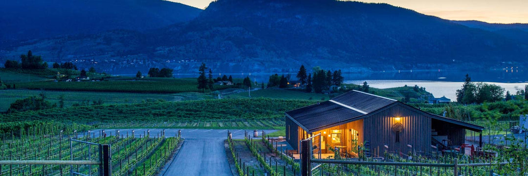 2020 Little Engine Silver Pinot Noir