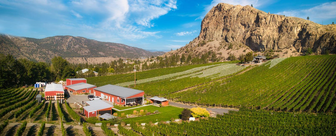 2016 MEYER FAMILY GEWURZTRAMINER