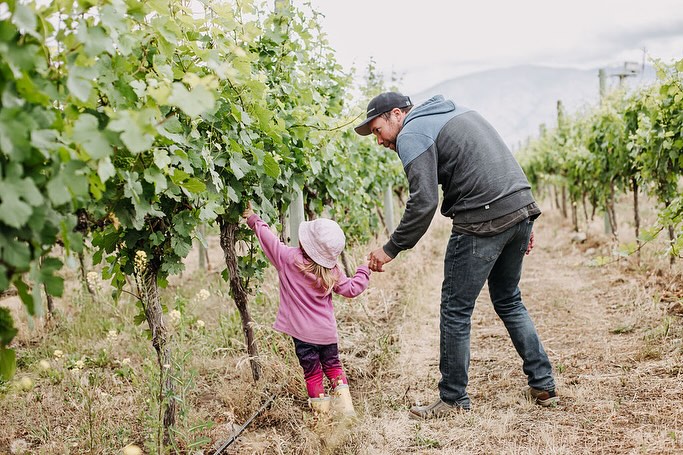 Mindful Parenting & Wine Culture | Celebrate Everyday Moments