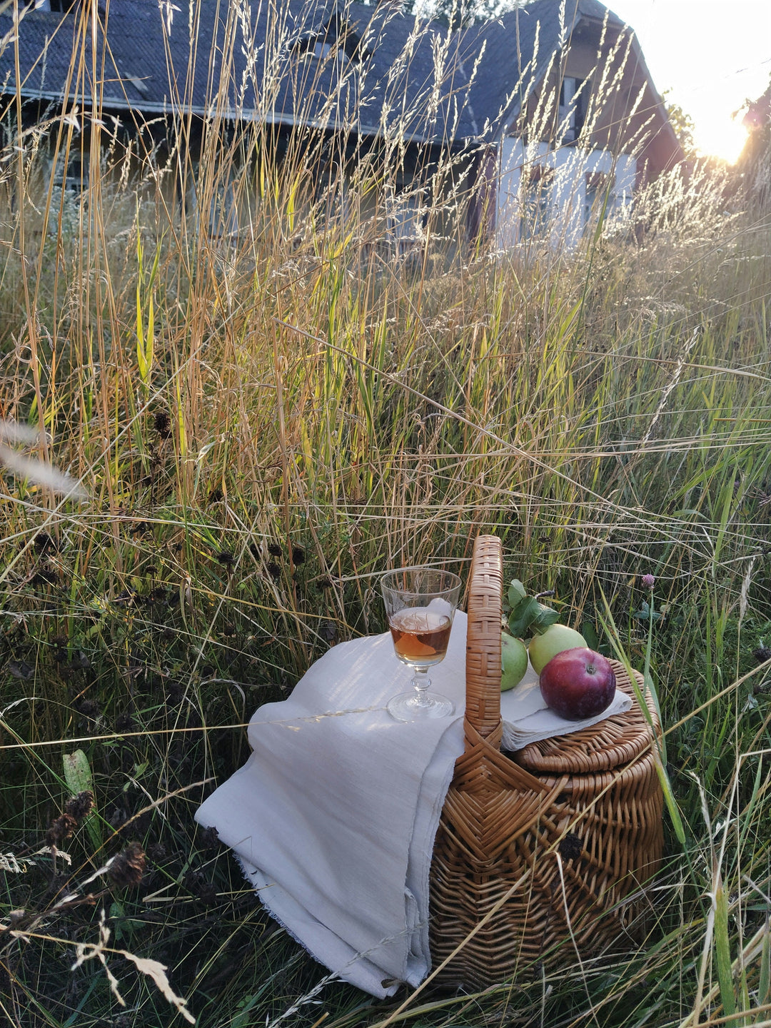 Ultimate Guide: How to Have the Perfect Wine and Food-Friendly Picnic