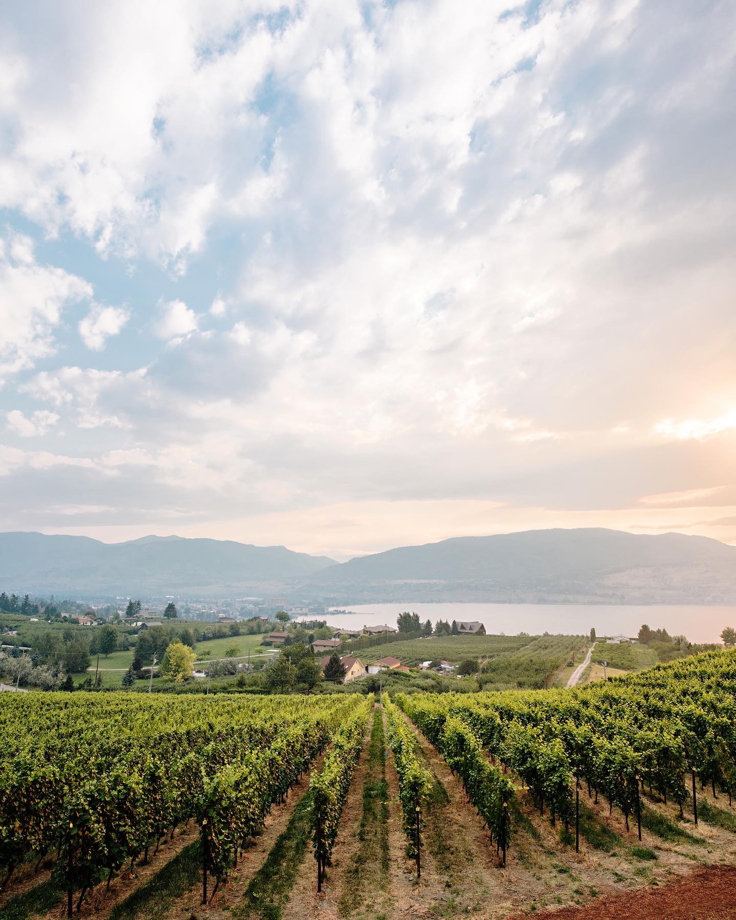 Oh, Canada Canadian Wine Club