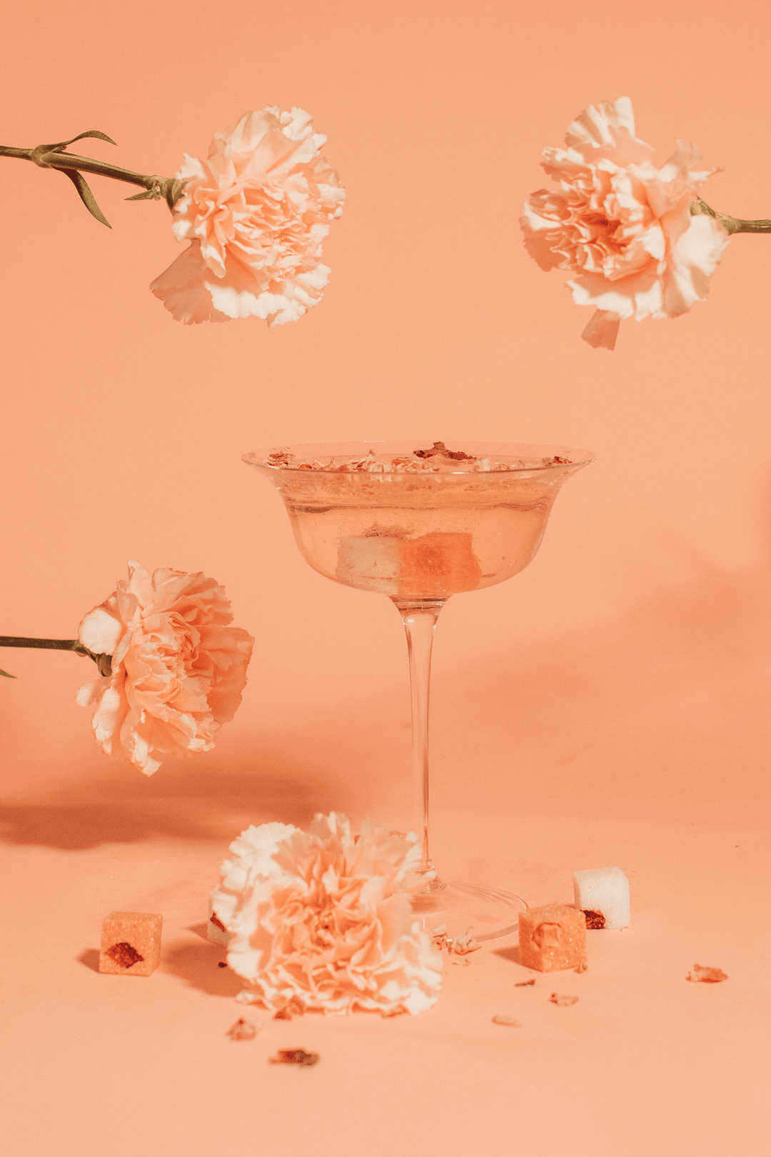 ROSE | BARISTA CUBE