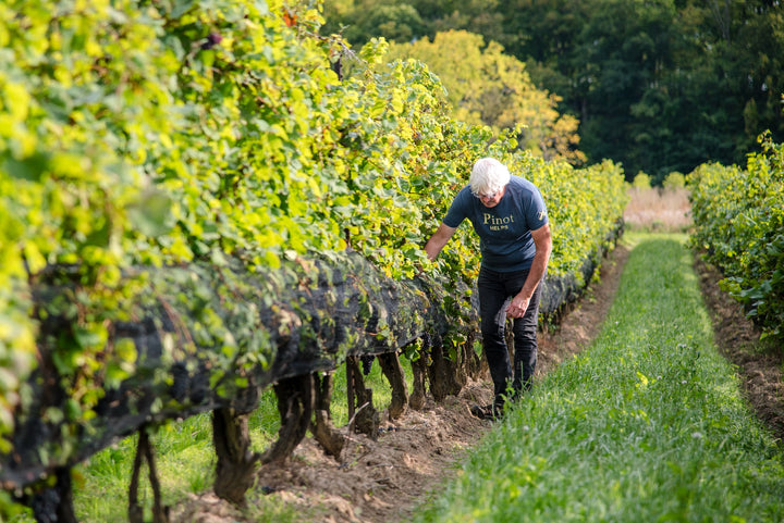2022 Gamay Noir Les Villages Bachelder