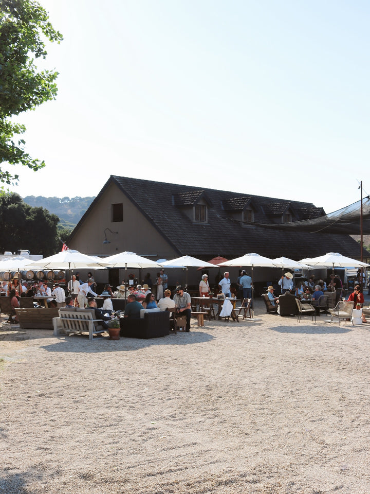 2024 Corral Sauvignon Blanc — Zabala Vineyard