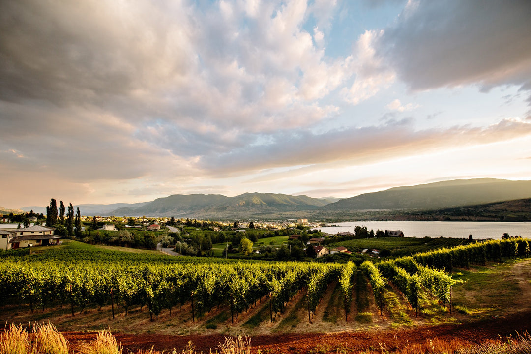 2020 POPLAR GROVE CABERNET FRANC