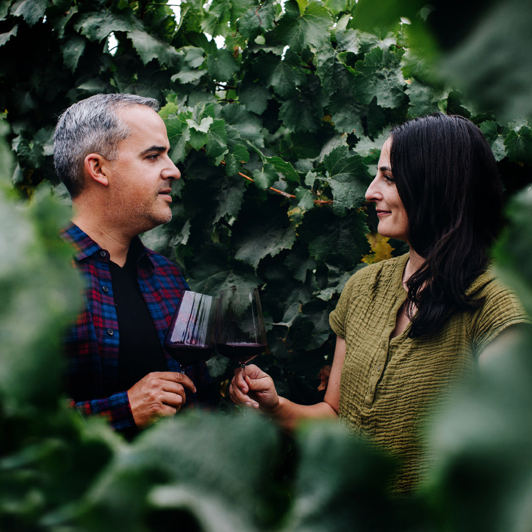 ORIXE SOTELO 2021 Tinta Alta, Tempranillo