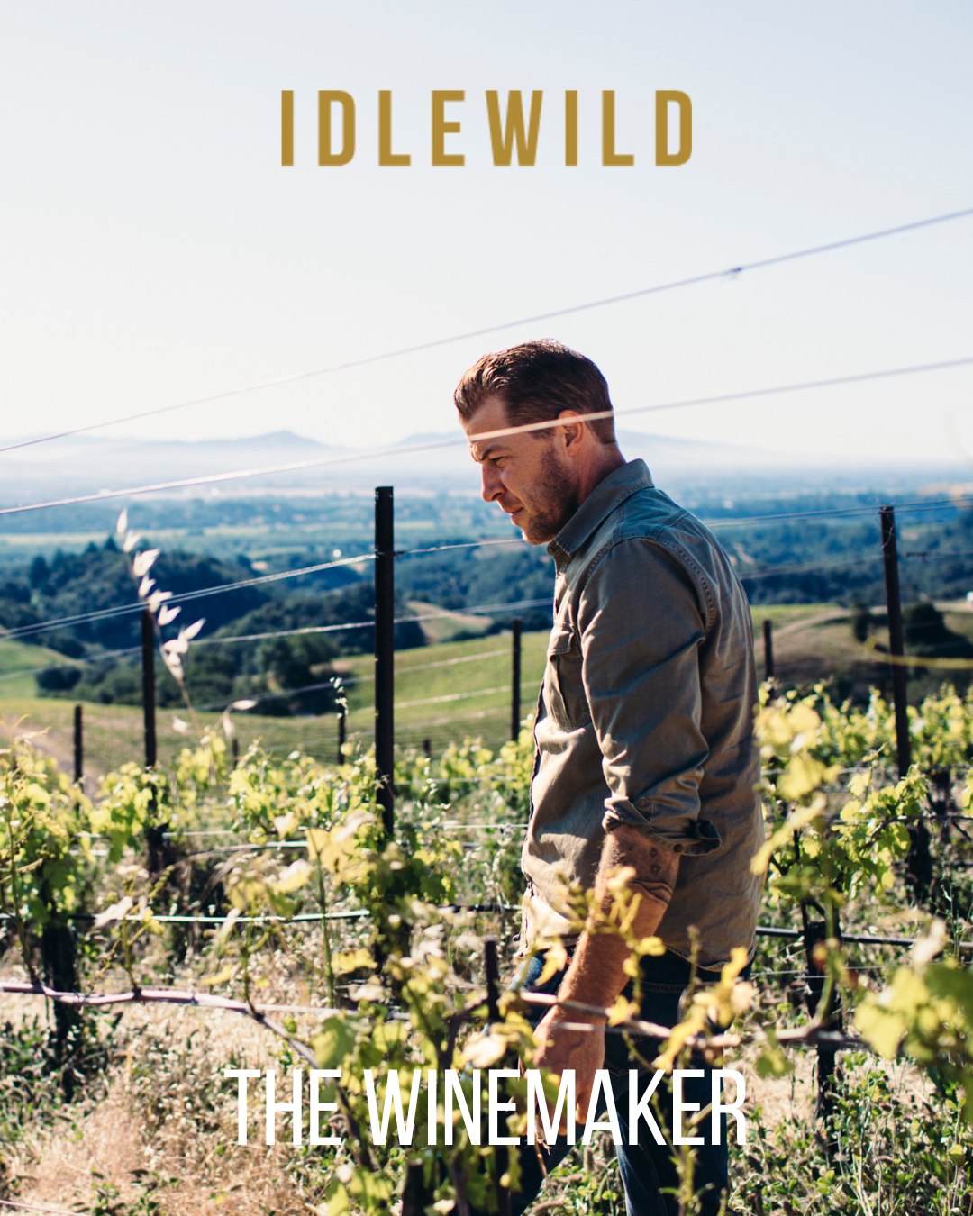 2022 Idlewild “Flora & Fauna – The Bird” Red Blend
