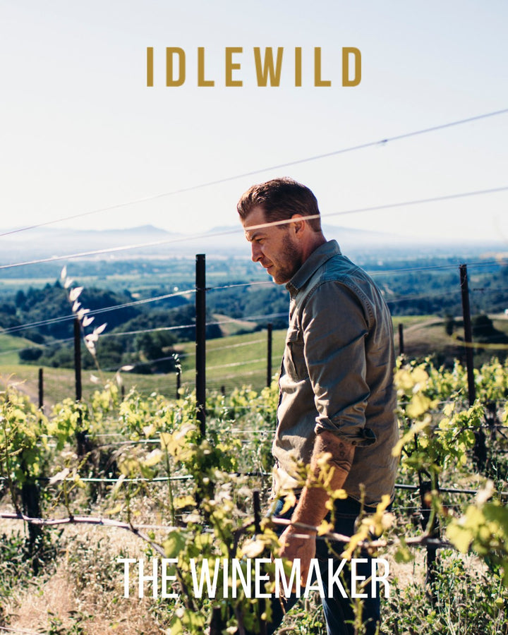 2022 Idlewild “Flora & Fauna – The Bird” Red Blend